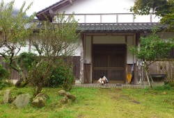 庭先　近くの水路で捕まえて来た沢ガニを見聞中の長男